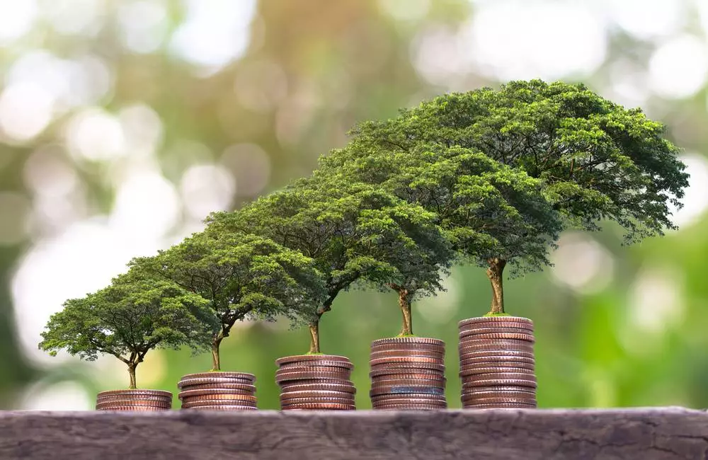 Tiny trees grow on stacks of coins that increase in height from left to right.