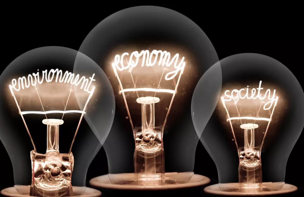 Light bulbs with shining fibres in the shape of the words ECONOMY, ENVIRONMENT and SOCIETY against a black background.